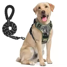 Escape-Proof Dog Harness & Leash - Premium Safety