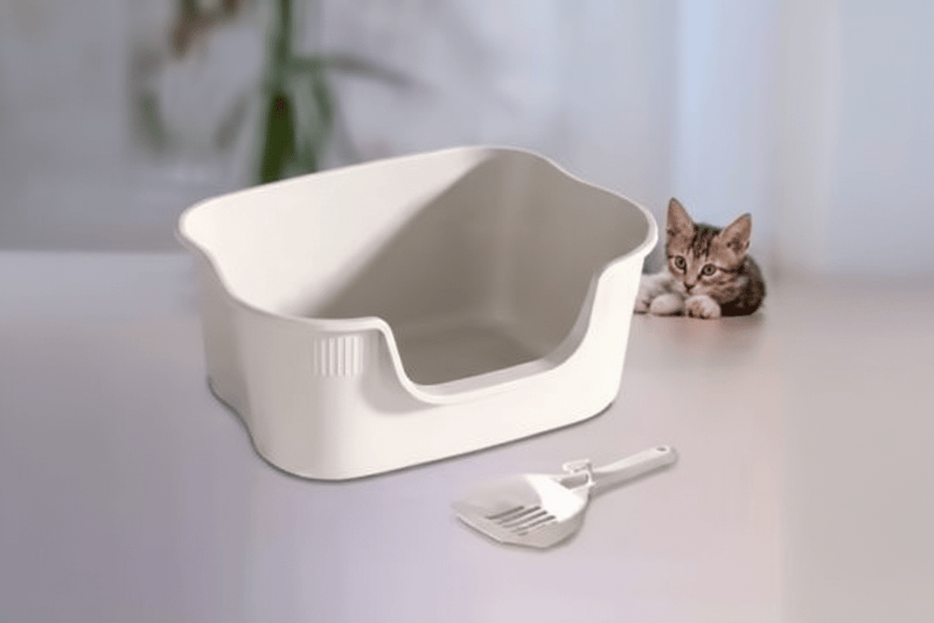 Scoopable Cat Litter