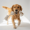 Cotton Dog Rope Toy - Double Knot Chew Toy - Pawsome Planet