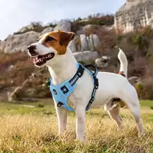 Escape-Proof Dog Harness & Leash - Premium Safety