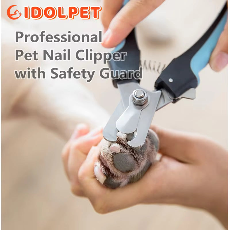 Professional Pet Grooming