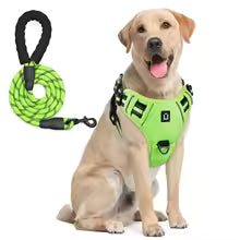 Escape-Proof Dog Harness & Leash - Premium Safety