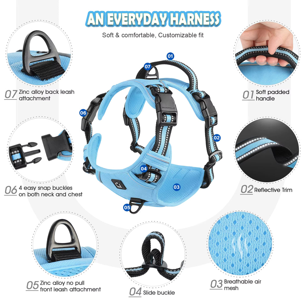 Escape-Proof Dog Harness & Leash - Premium Safety