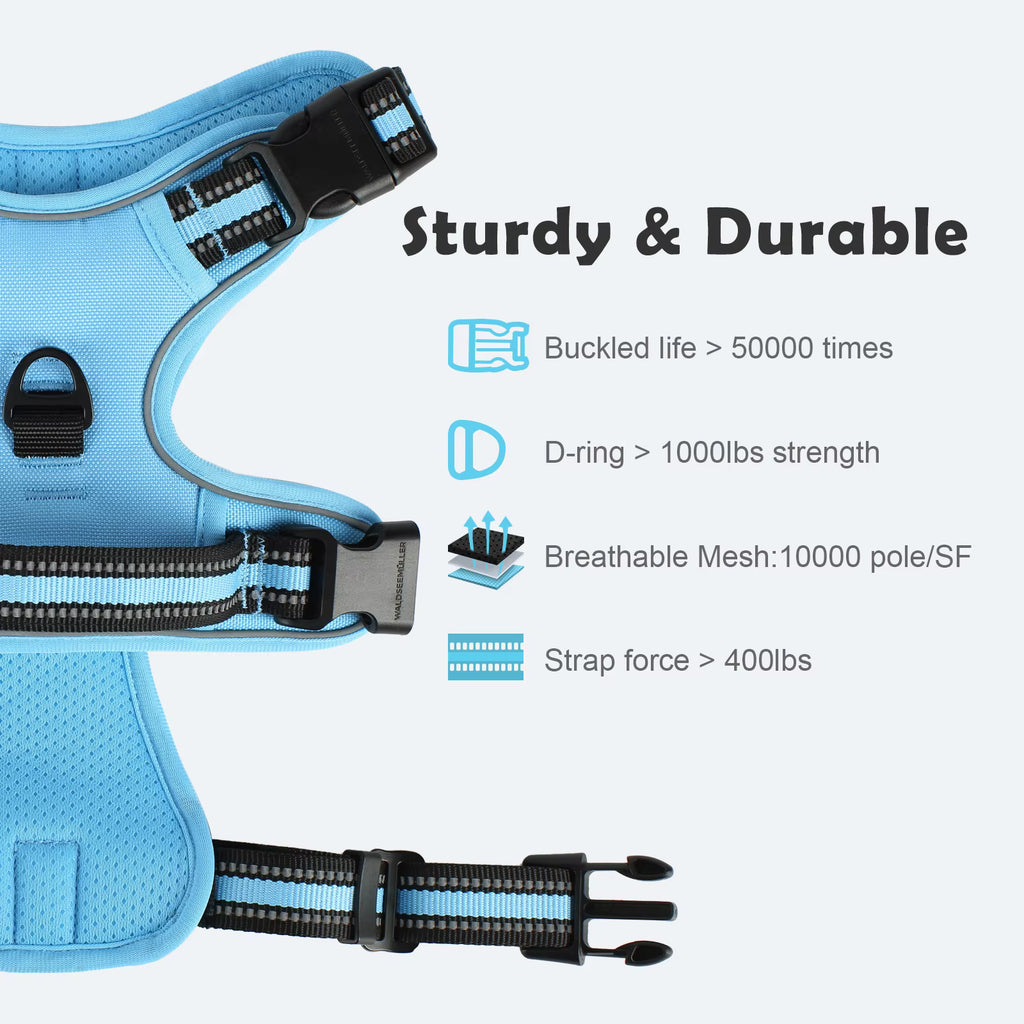 Escape-Proof Dog Harness & Leash - Premium Safety