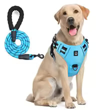 Escape-Proof Dog Harness & Leash - Premium Safety