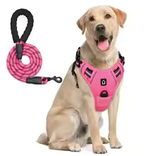 Escape-Proof Dog Harness & Leash - Premium Safety