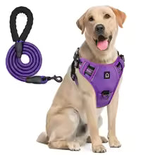 Escape-Proof Dog Harness & Leash - Premium Safety