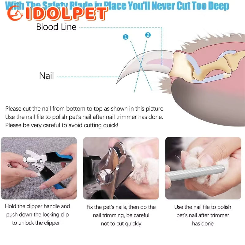 Professional Pet Grooming