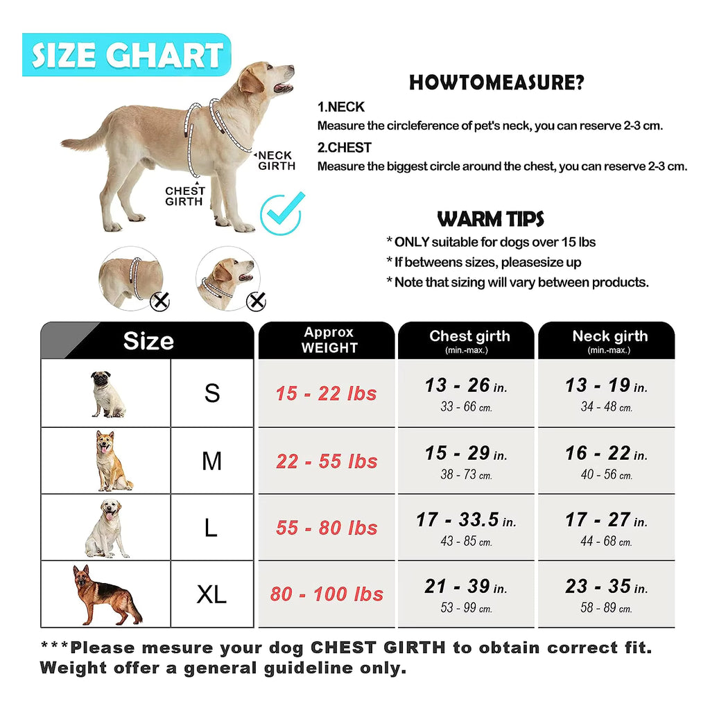 Escape-Proof Dog Harness & Leash - Premium Safety