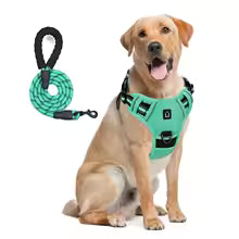 Escape-Proof Dog Harness & Leash - Premium Safety